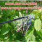 4 Teeth Dual Purpose Weeder Tool