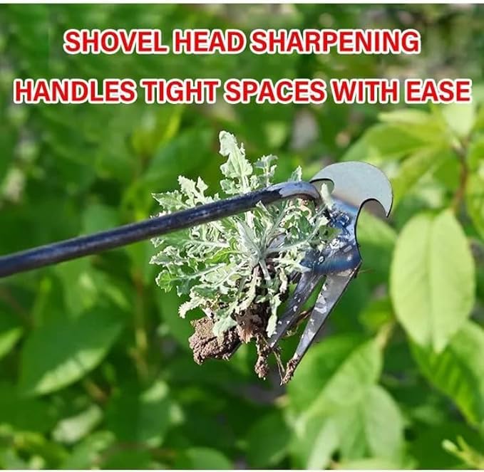 4 Teeth Dual Purpose Weeder Tool